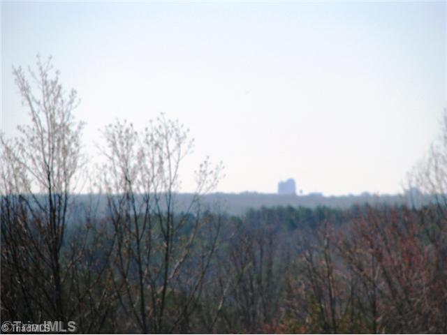 0 Bolejack Road Germanton, NC 27019 - Photo 8 of 9 Land/Lot.