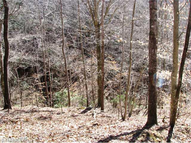 0 Bolejack Road Germanton, NC 27019 - Photo 9 of 9 Land/Lot.
