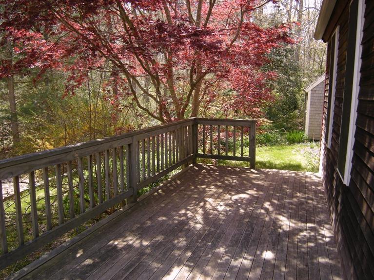 972 River Road Marstons Mills, MA 02648 - Photo 24 of 32 a view of a yard with large trees