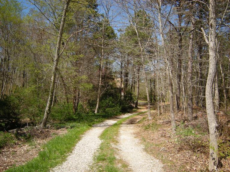972 River Road Marstons Mills, MA 02648 - Photo 32 of 32 a view of a backyard with large trees