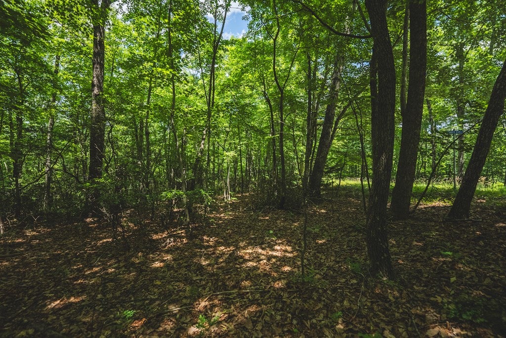 Tbd Lee Elgin Road, Unit 481797D Woolwine, VA 24185 - Photo 10 of 10 Gallery Image 10