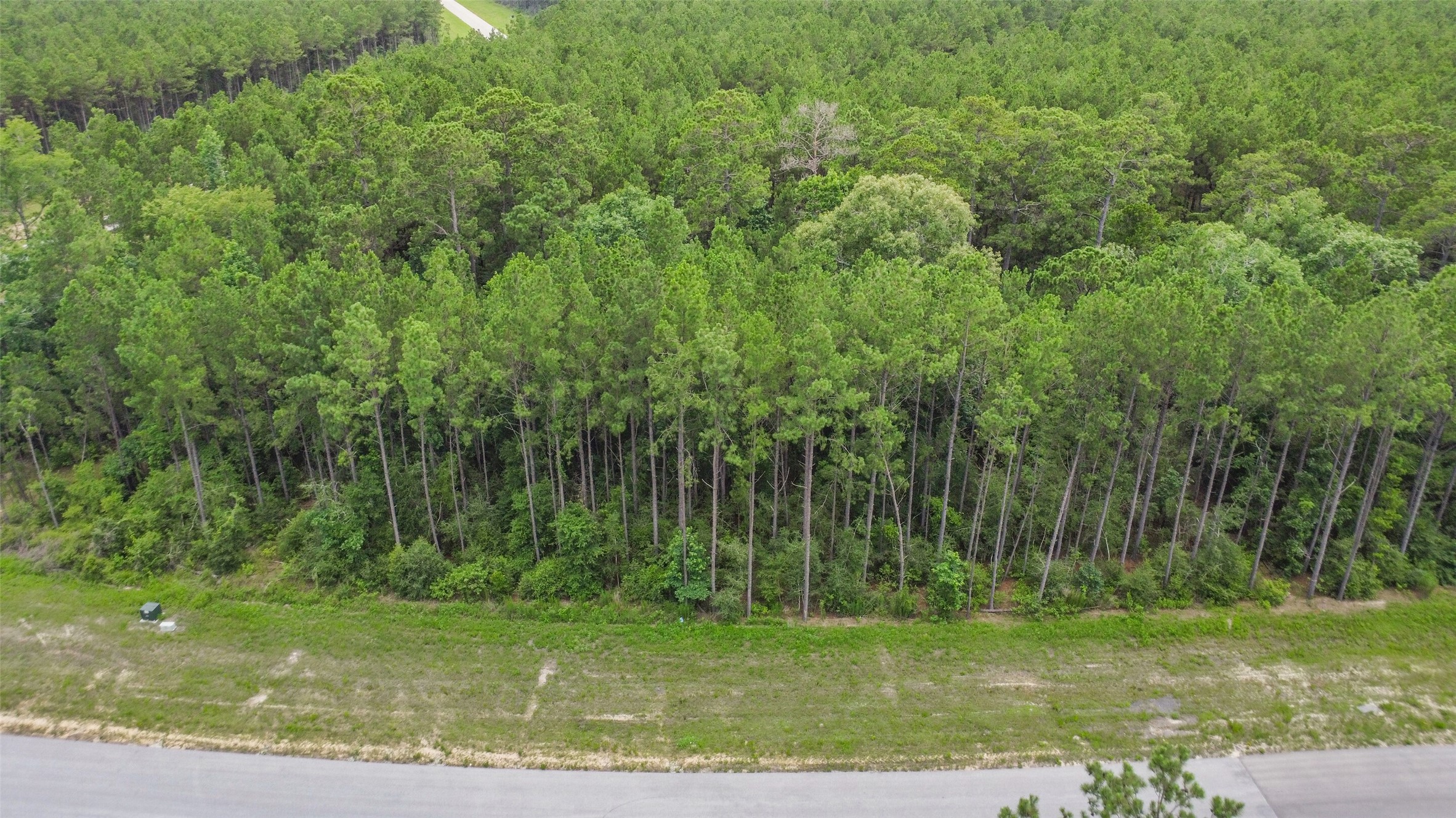 15832 Ridge Oak Road Willis, TX 77378 - Photo 12 of 14