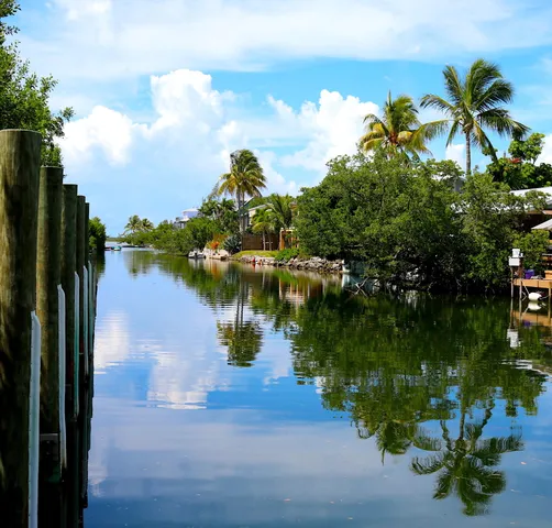 a plant that is in front of the house