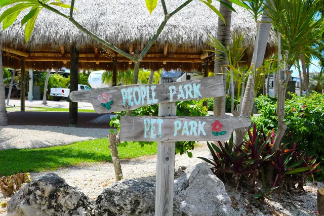 a view of a city with green space