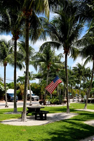 a front of a kitchen with a table and plants
