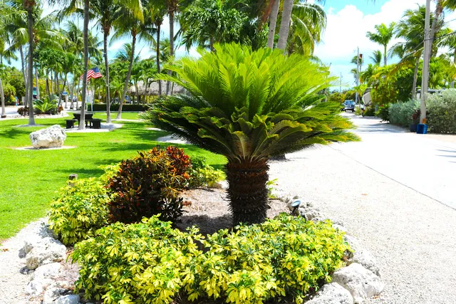 a car parked in front of a house