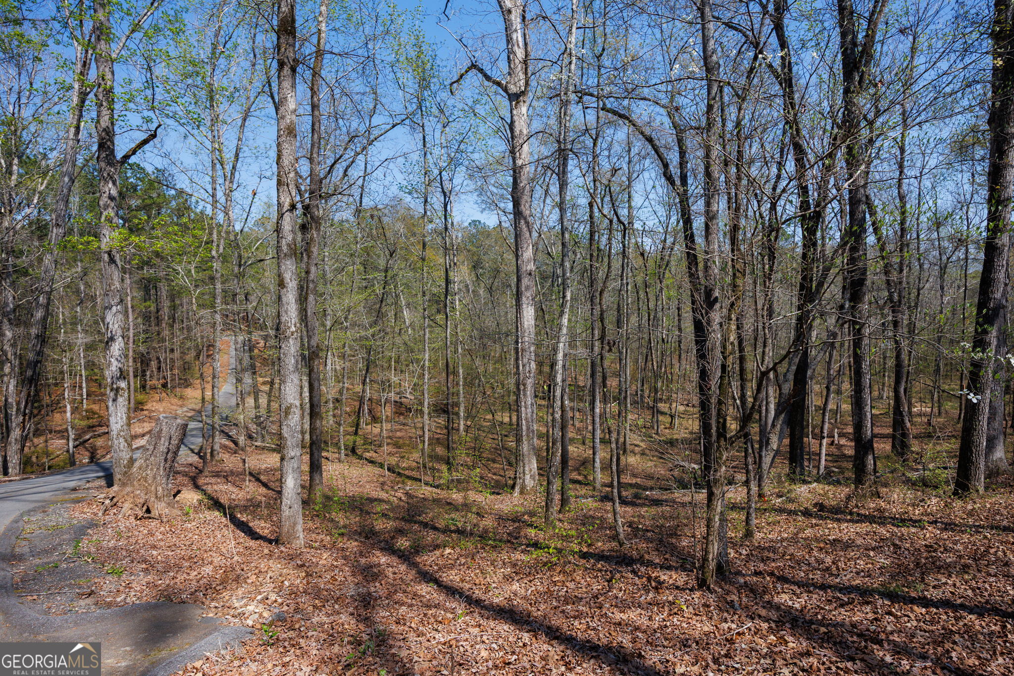 131 Woods Road Juliette, GA 31046 - Photo 36 of 39