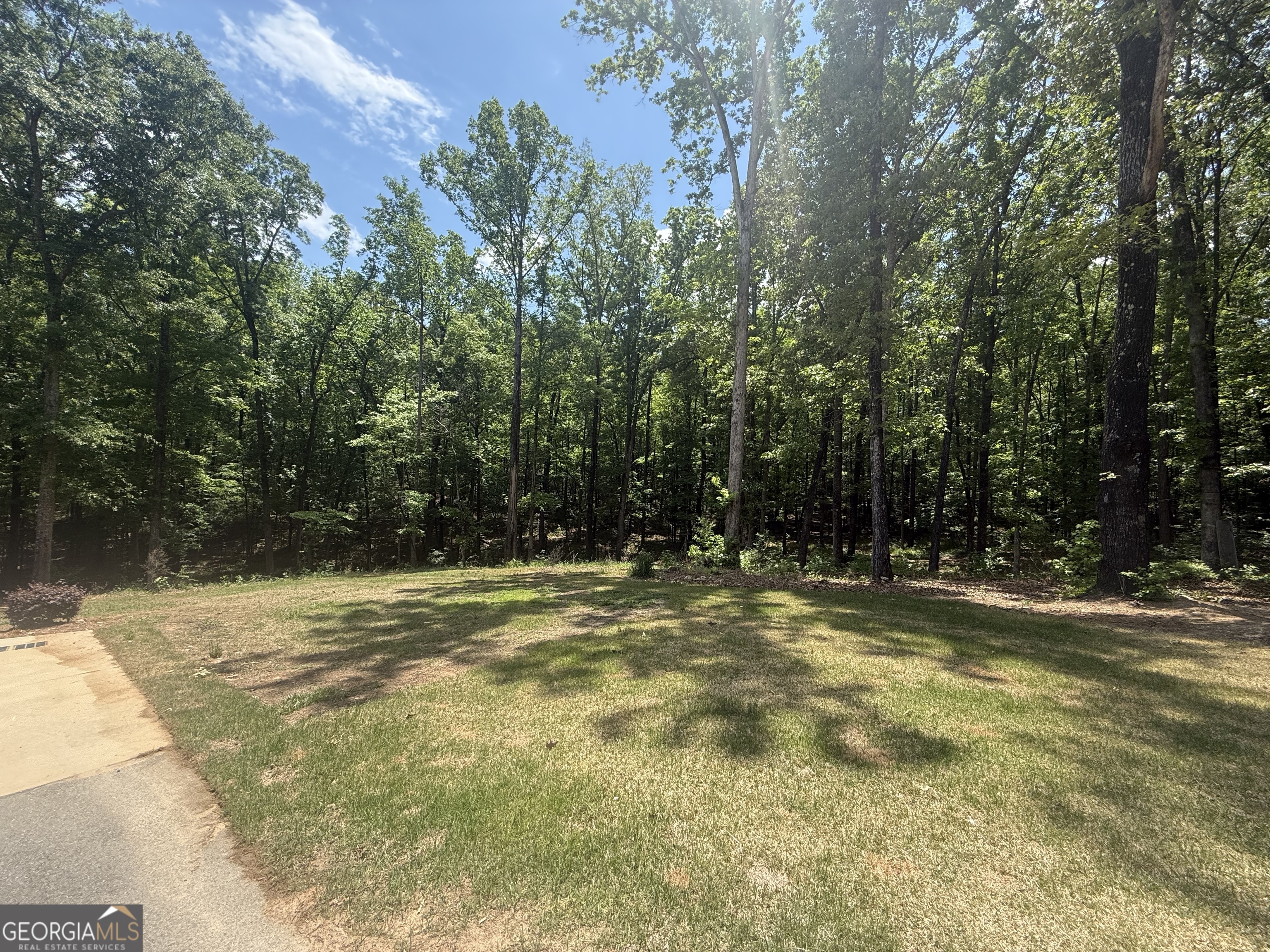 131 Woods Road Juliette, GA 31046 - Photo 38 of 39