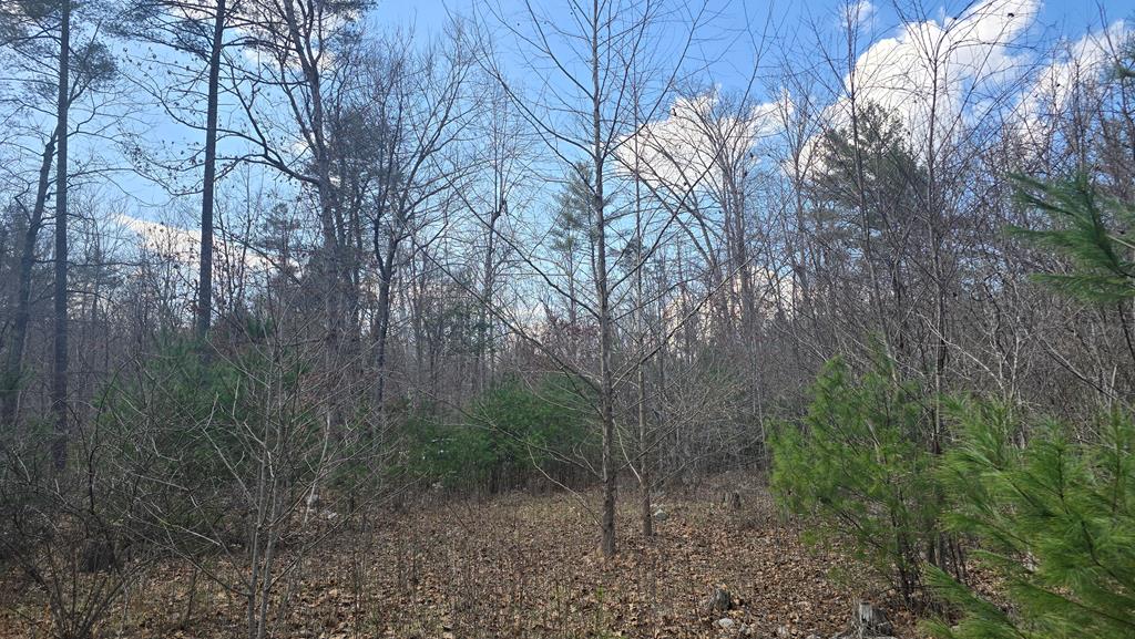 2280 Jennings Road, Unit 1 Shawsville, VA 24162 - Photo 1 of 4 Gallery Image 1