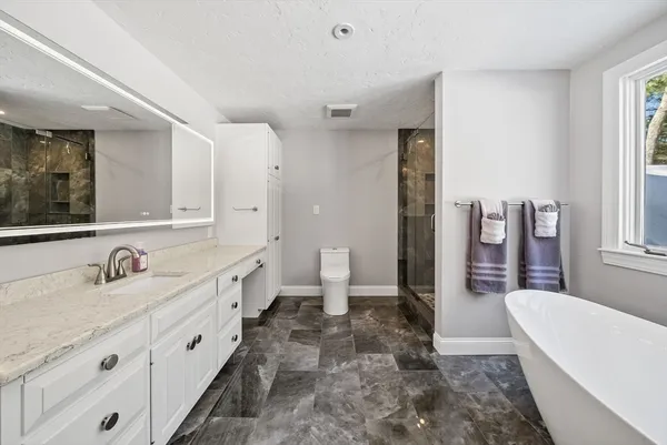 a bathroom with a double vanity sink a mirror a bathtub and toilet