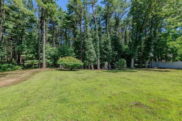 a backyard of a house with trees