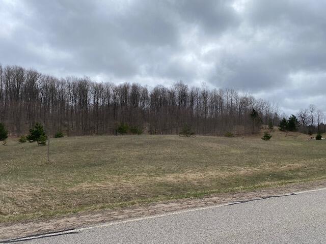 West Van Road Pellston, MI 49769 - Photo 4 of 6 Gallery Image 4
