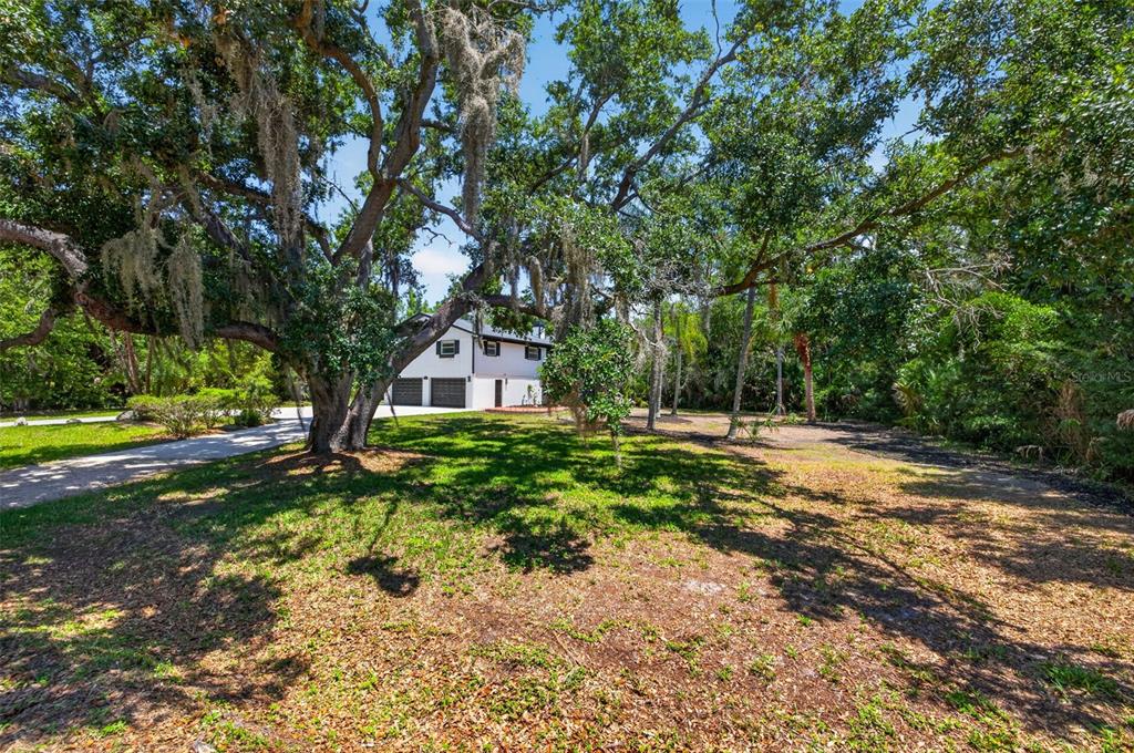 1007 State Street East Oldsmar, FL 34677 - Photo 4 of 65