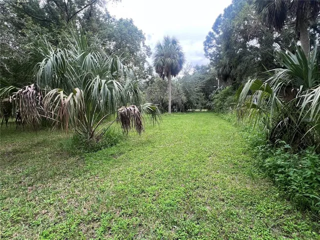 a view of a lush green space