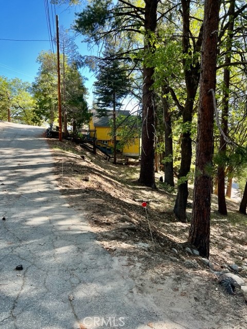 a view of street and trees