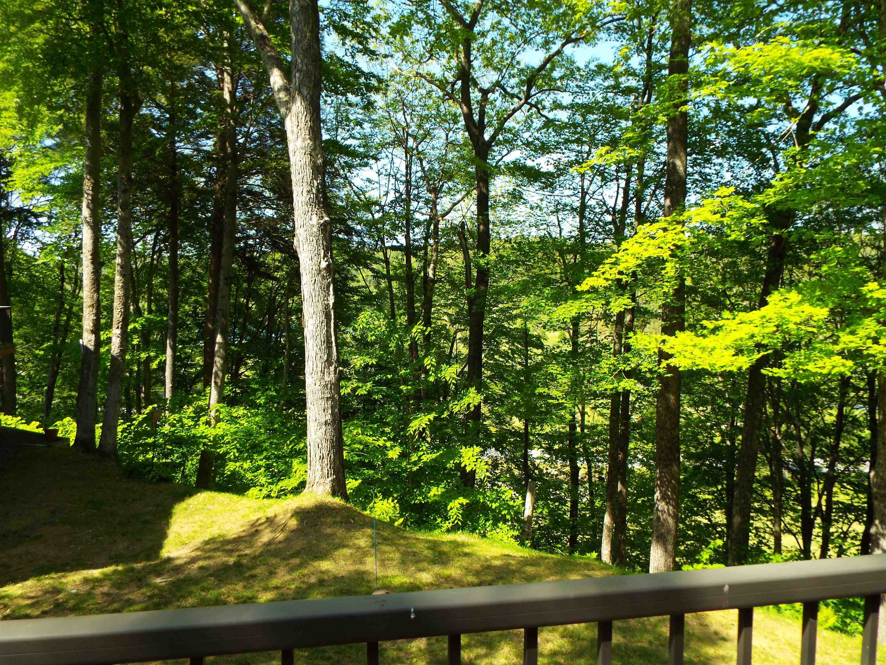 1140 Murphys Road Hartford, VT 05059 - Photo 30 of 31 Gallery Image 30