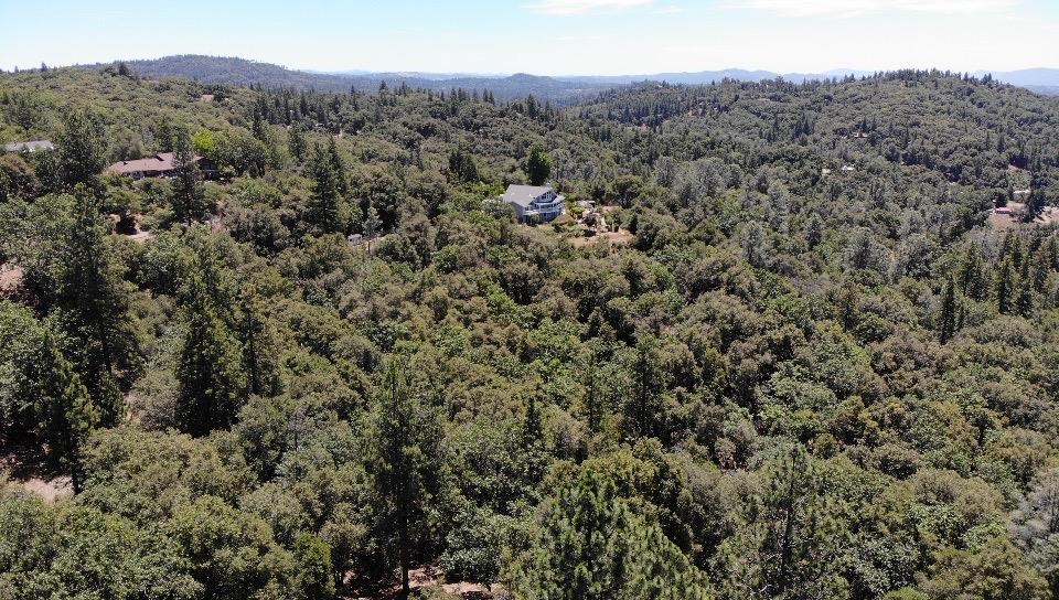 0 Bowman Road Pine Grove, CA 95665 - Photo 25 of 30