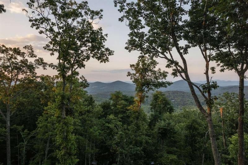 224 Eagles Ridge Morganton, GA 30560 - Photo 4 of 73