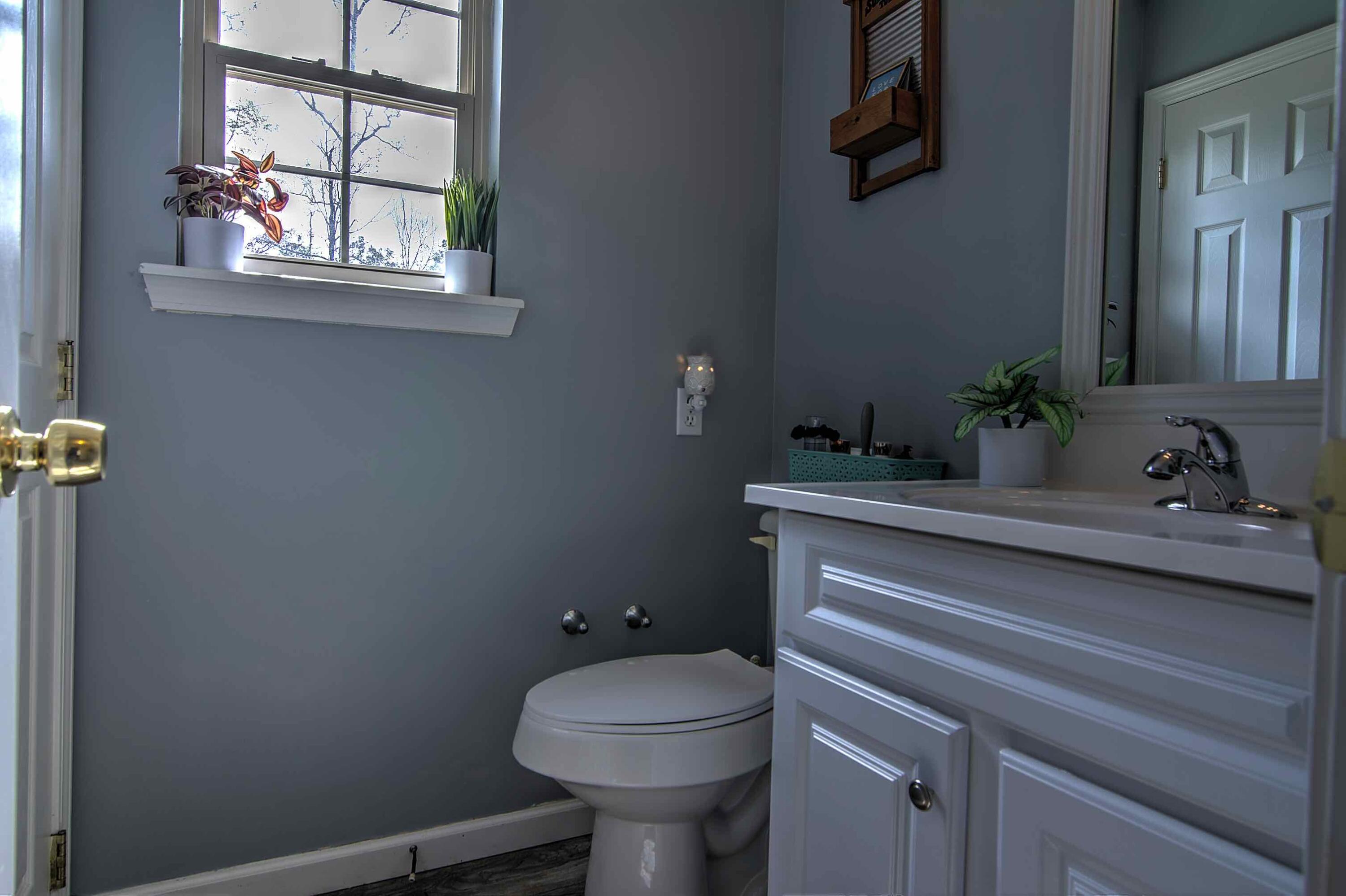 12966 Highway 75 Henagar, AL 35978 - Photo 19 of 44 Camera20