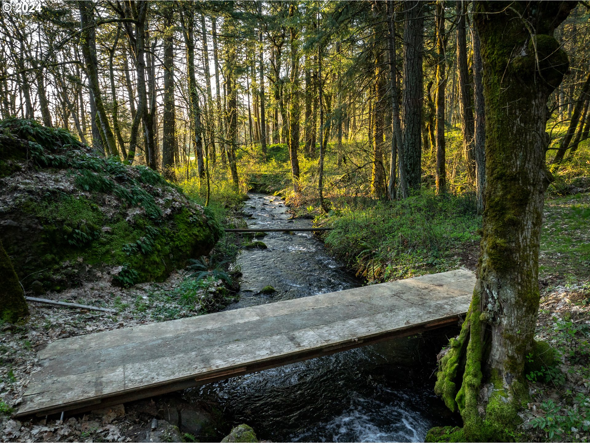 455 Country Club Road Hood River, OR 97031 - Photo 12 of 36 a view of backyard with green space