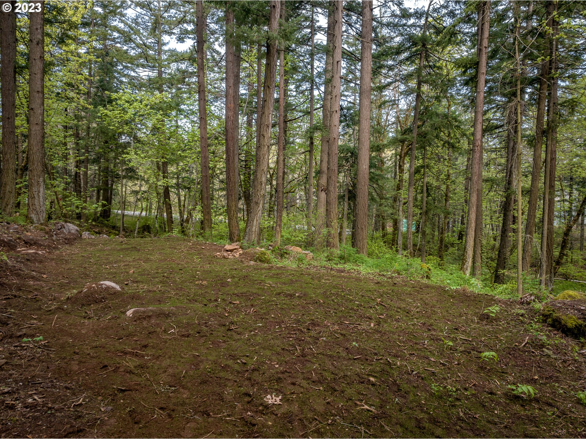455 Country Club Road Hood River, OR 97031 - Photo 17 of 36 a view of outdoor space and green space