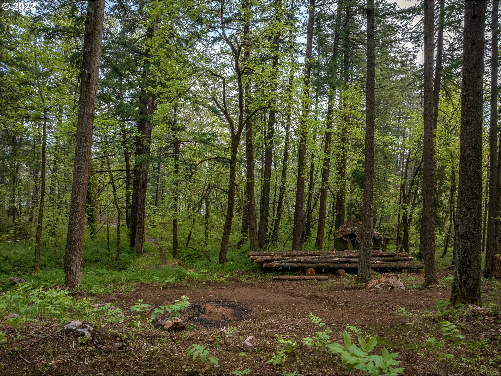 455 Country Club Road Hood River, OR 97031 - Photo 18 of 36 a view of a green field with lots of trees