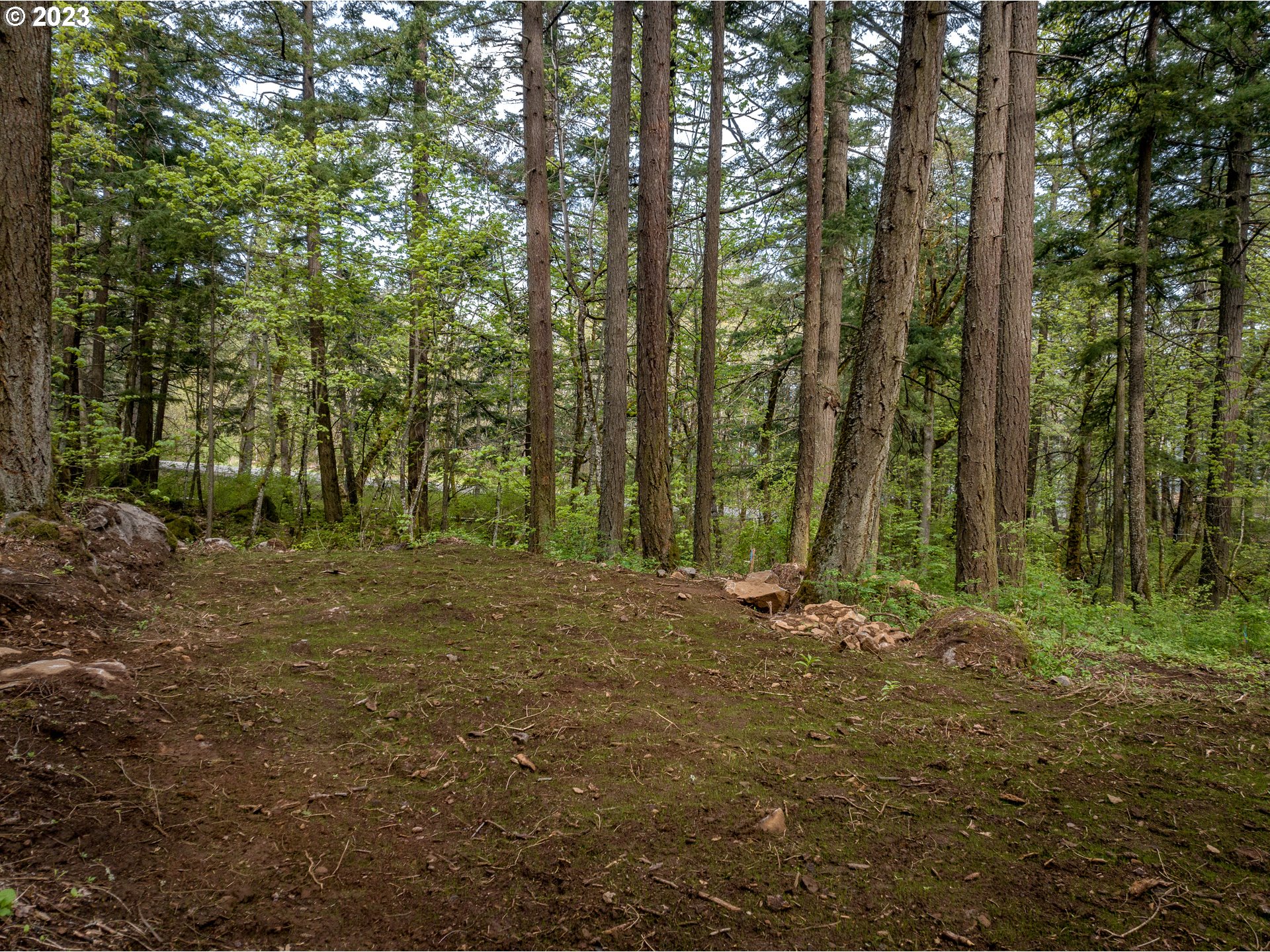 455 Country Club Road Hood River, OR 97031 - Photo 19 of 36 a big yard with lots of green space and trees