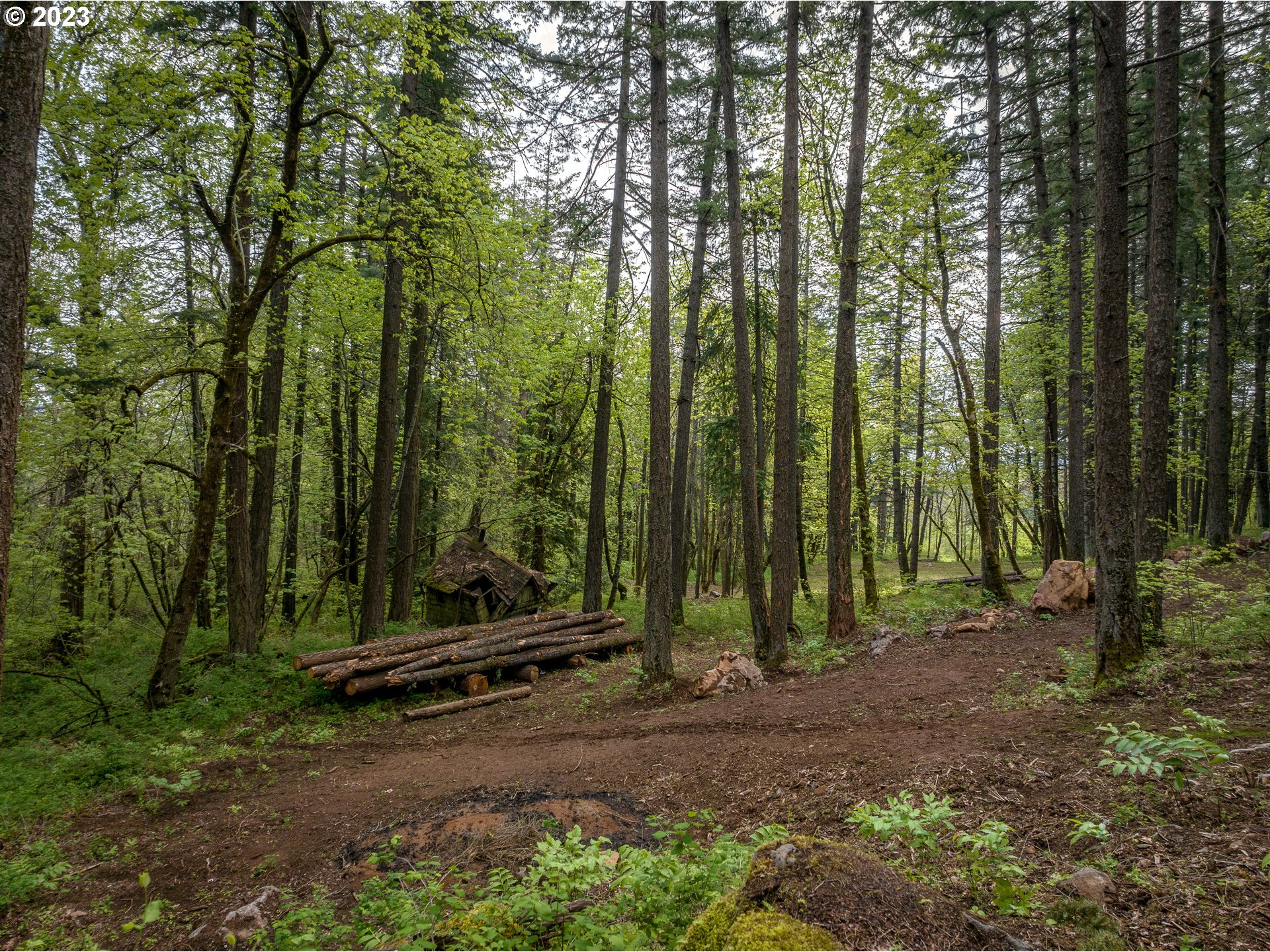 455 Country Club Road Hood River, OR 97031 - Photo 20 of 36 a view of outdoor space with lots of trees