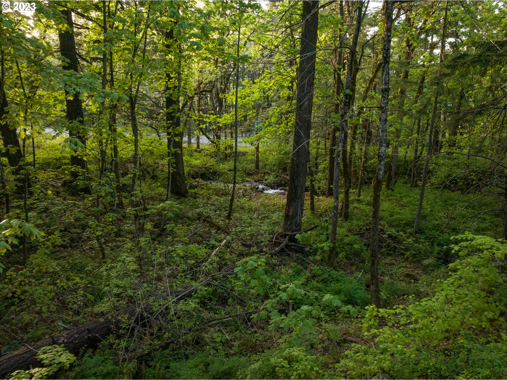 455 Country Club Road Hood River, OR 97031 - Photo 21 of 36 a view of forest