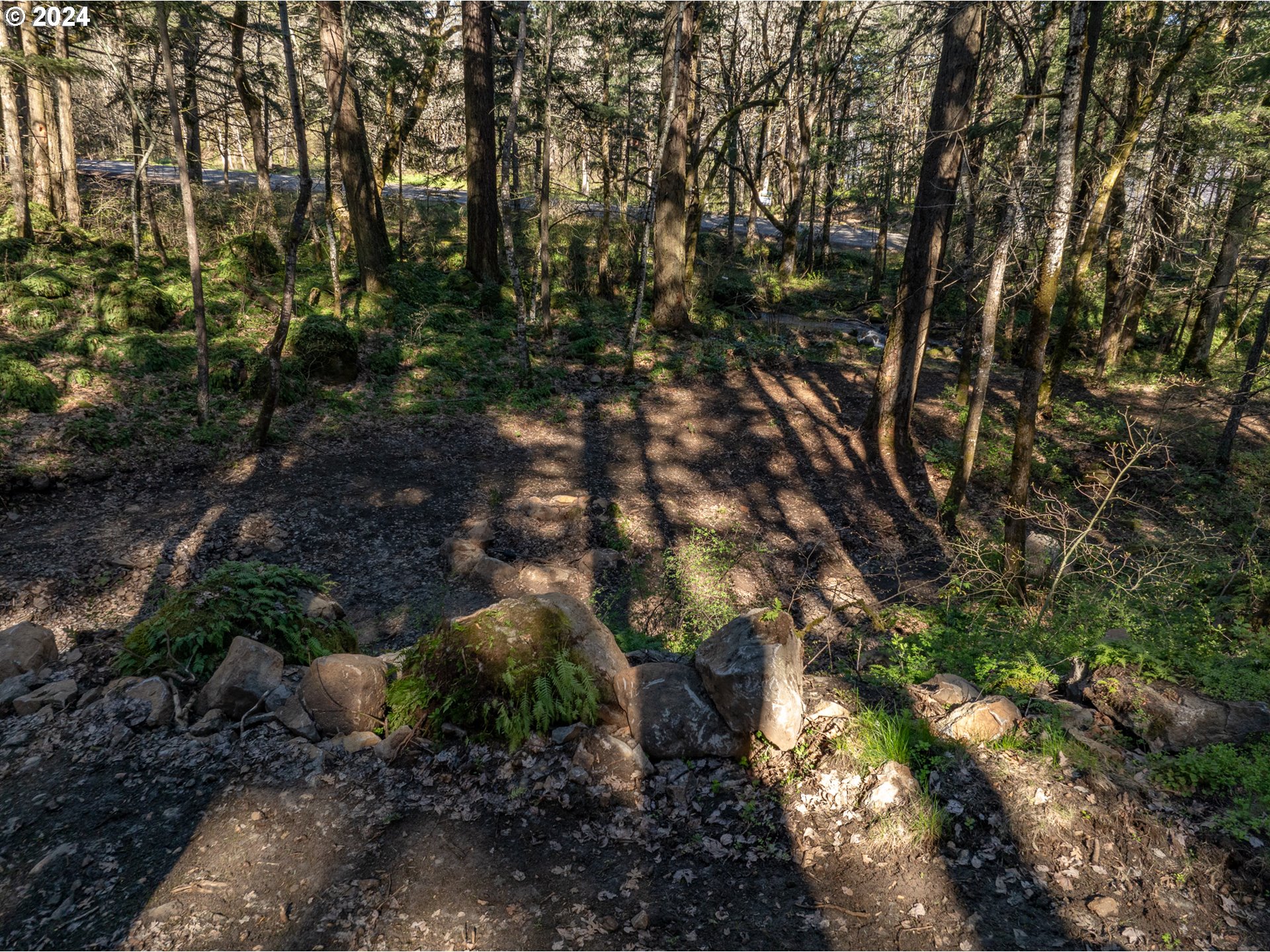 455 Country Club Road Hood River, OR 97031 - Photo 27 of 36 a view of a forest with a tree