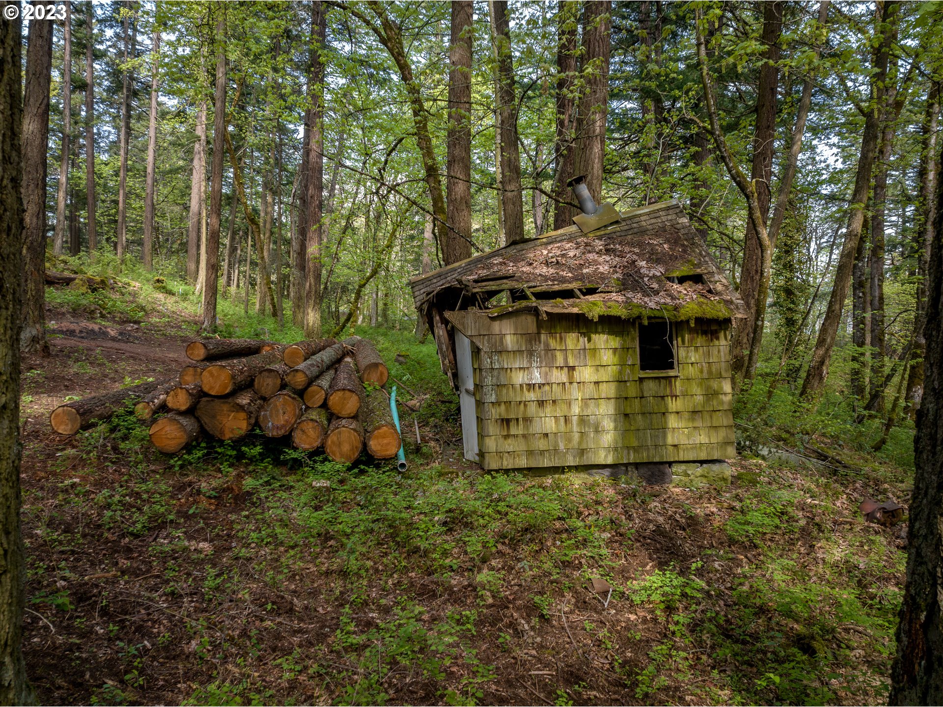 455 Country Club Road Hood River, OR 97031 - Photo 29 of 36 a view of a back yard of the house