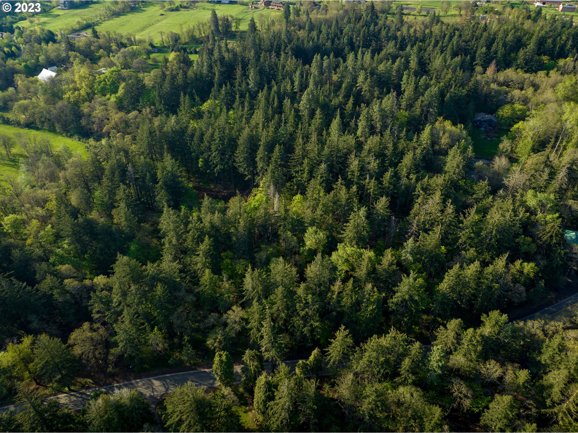 455 Country Club Road Hood River, OR 97031 - Photo 30 of 36 a view of a forest with a tree
