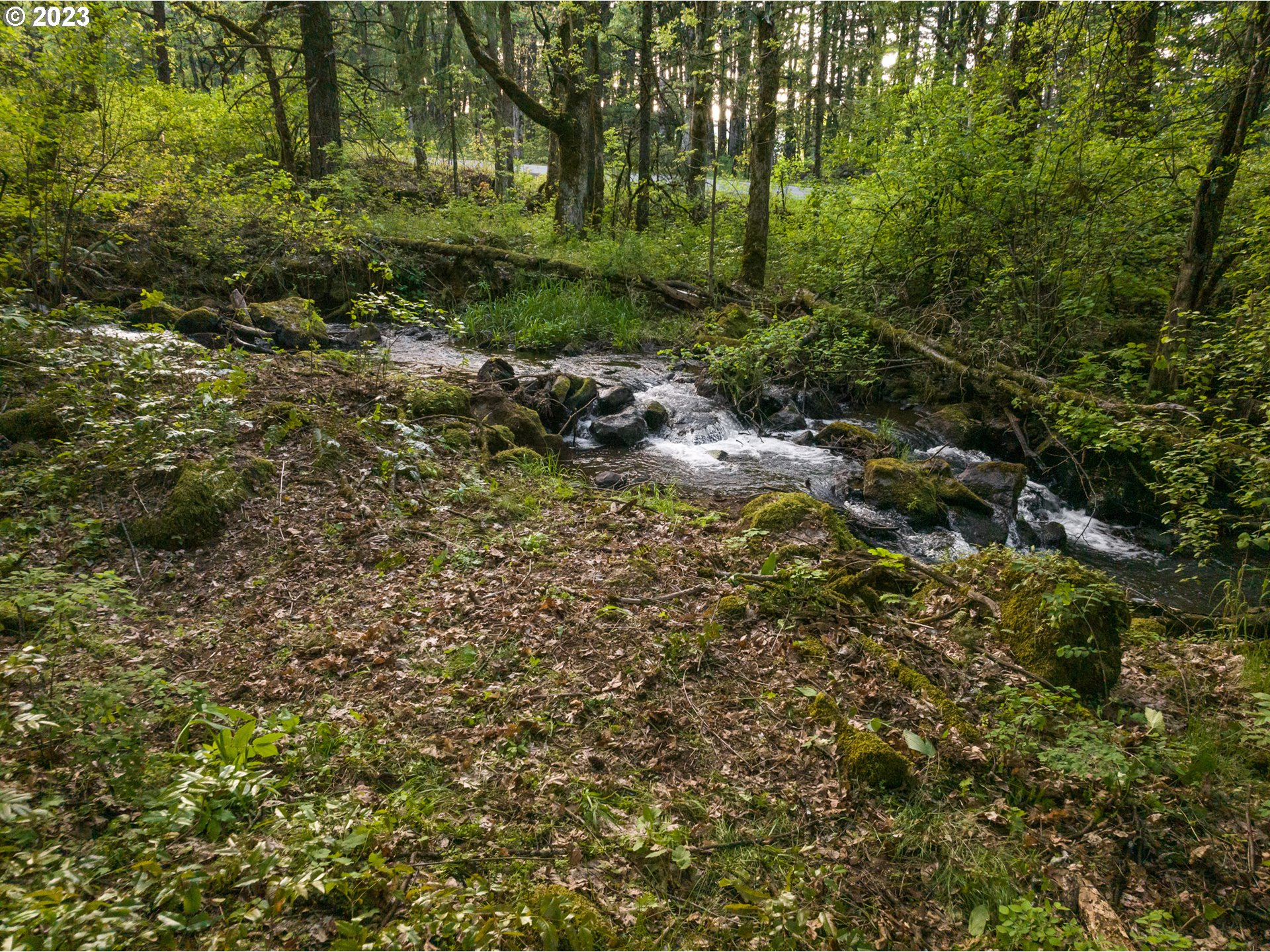 455 Country Club Road Hood River, OR 97031 - Photo 3 of 36 a view of a forest with trees