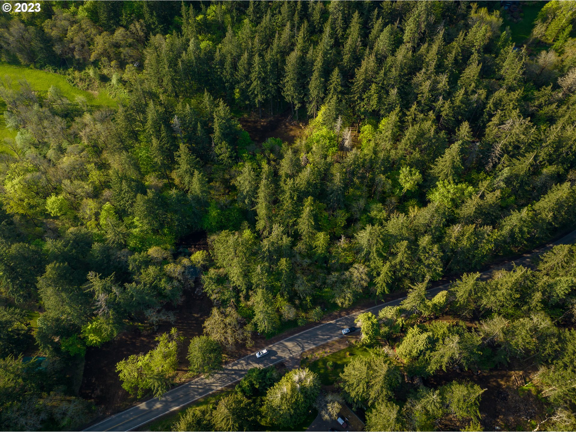 455 Country Club Road Hood River, OR 97031 - Photo 31 of 36 a view of a forest with a tree