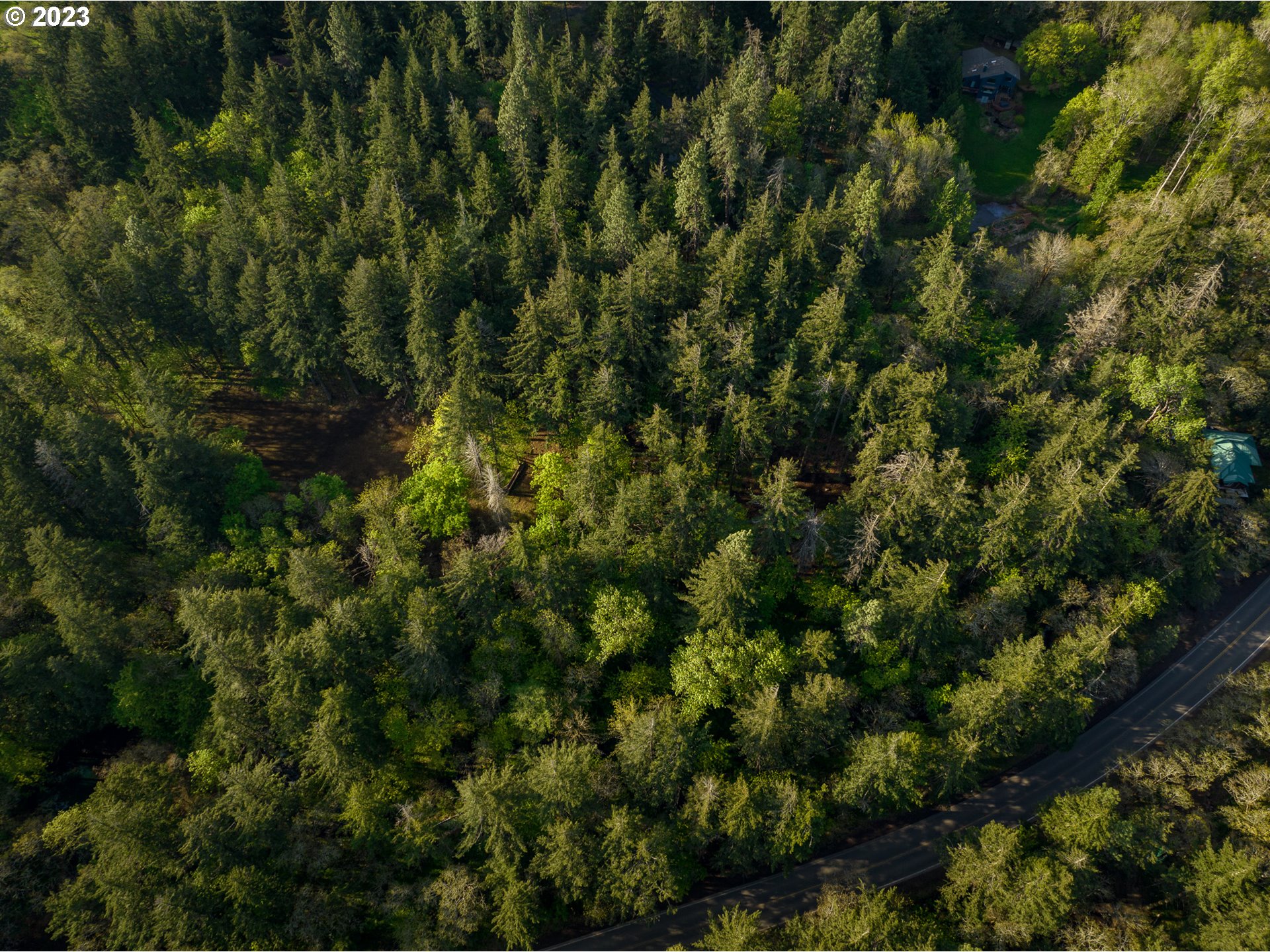 455 Country Club Road Hood River, OR 97031 - Photo 32 of 36 a view of a forest with a tree