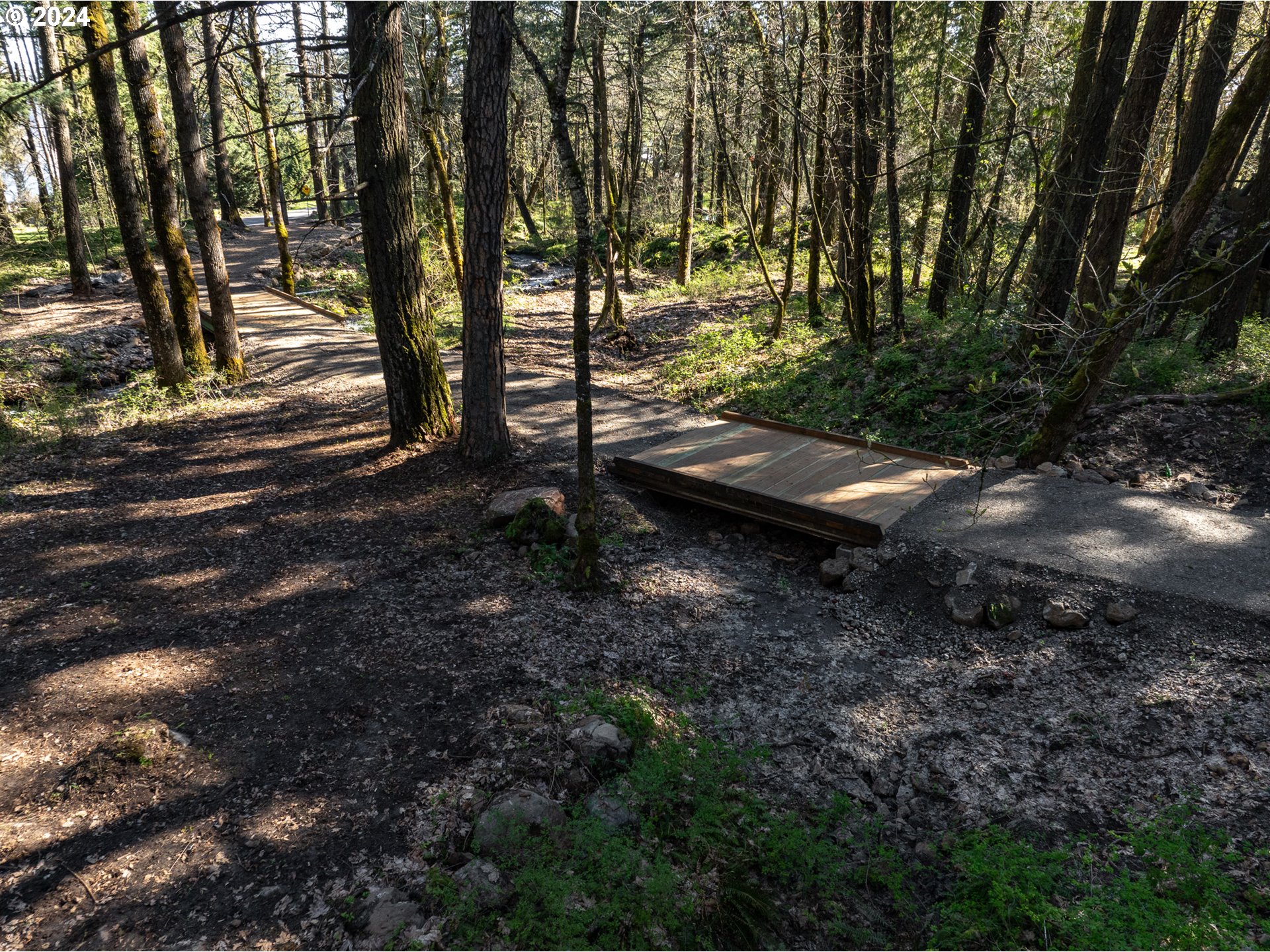 455 Country Club Road Hood River, OR 97031 - Photo 34 of 36 a view of a yard with plants and trees