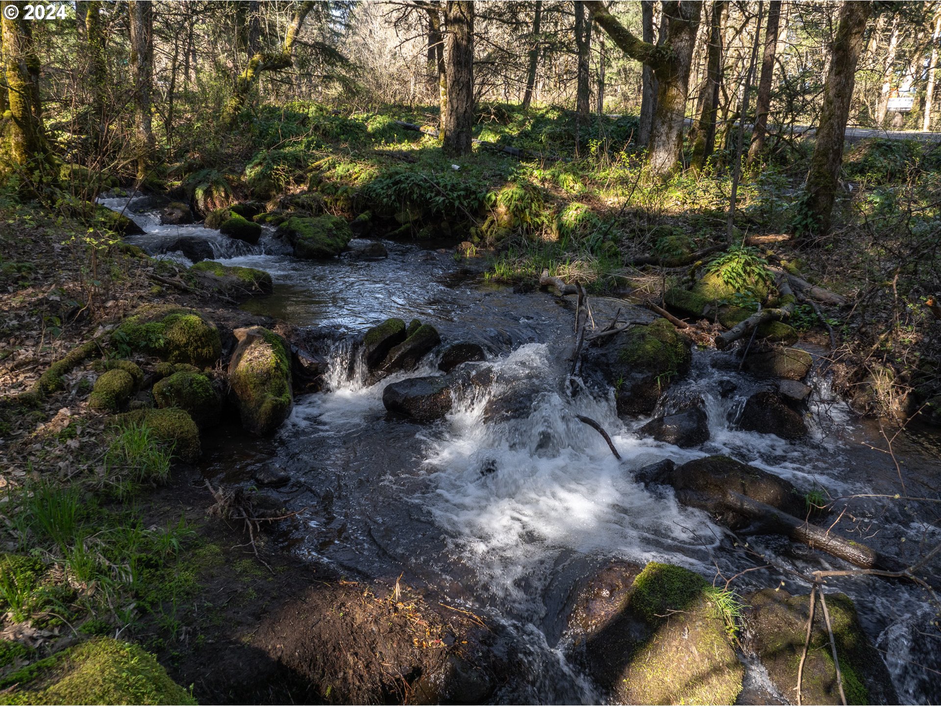 455 Country Club Road Hood River, OR 97031 - Photo 6 of 36 a view of a yard with plants and large trees