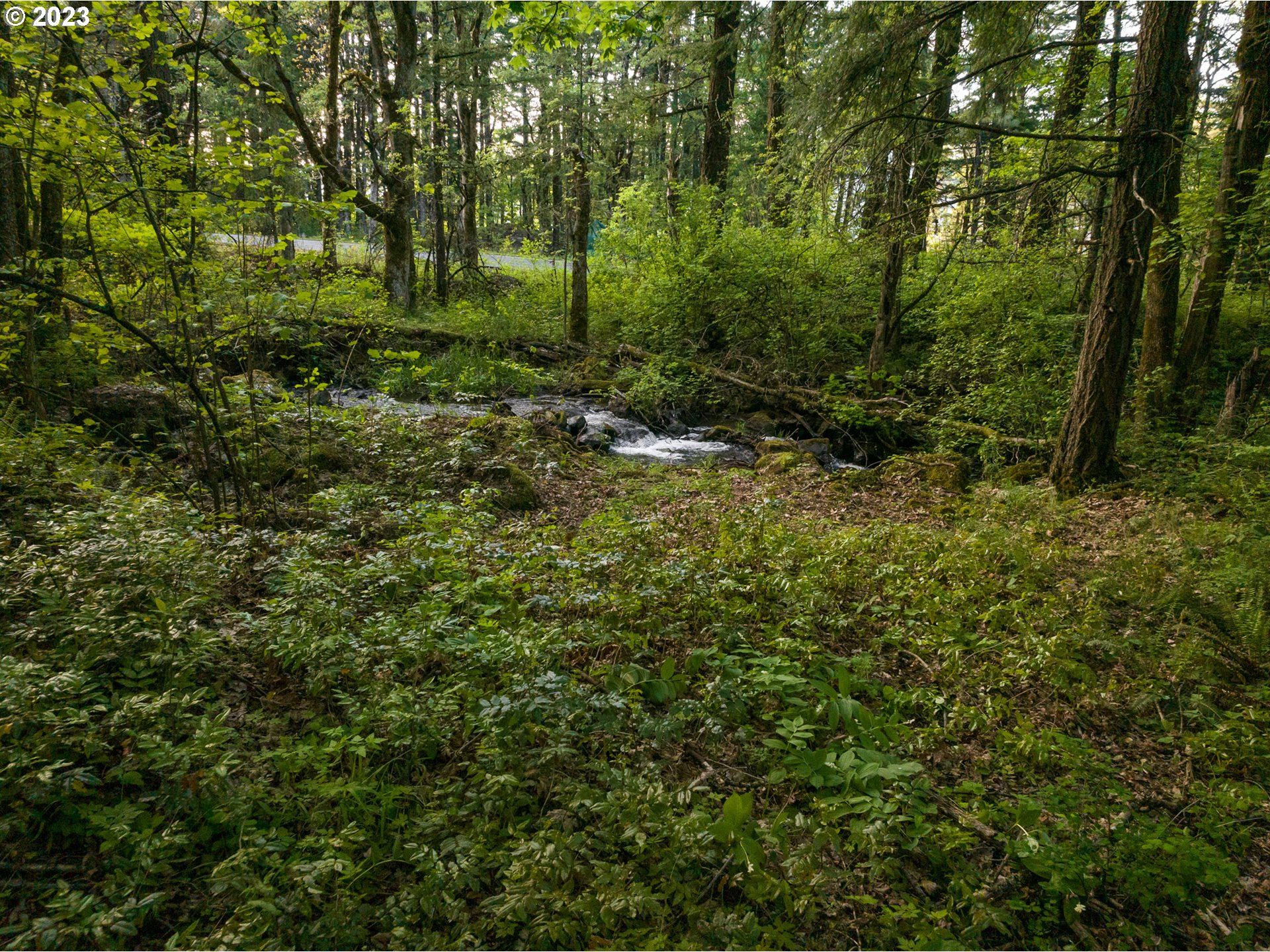 455 Country Club Road Hood River, OR 97031 - Photo 8 of 36 a view of outdoor space and green space