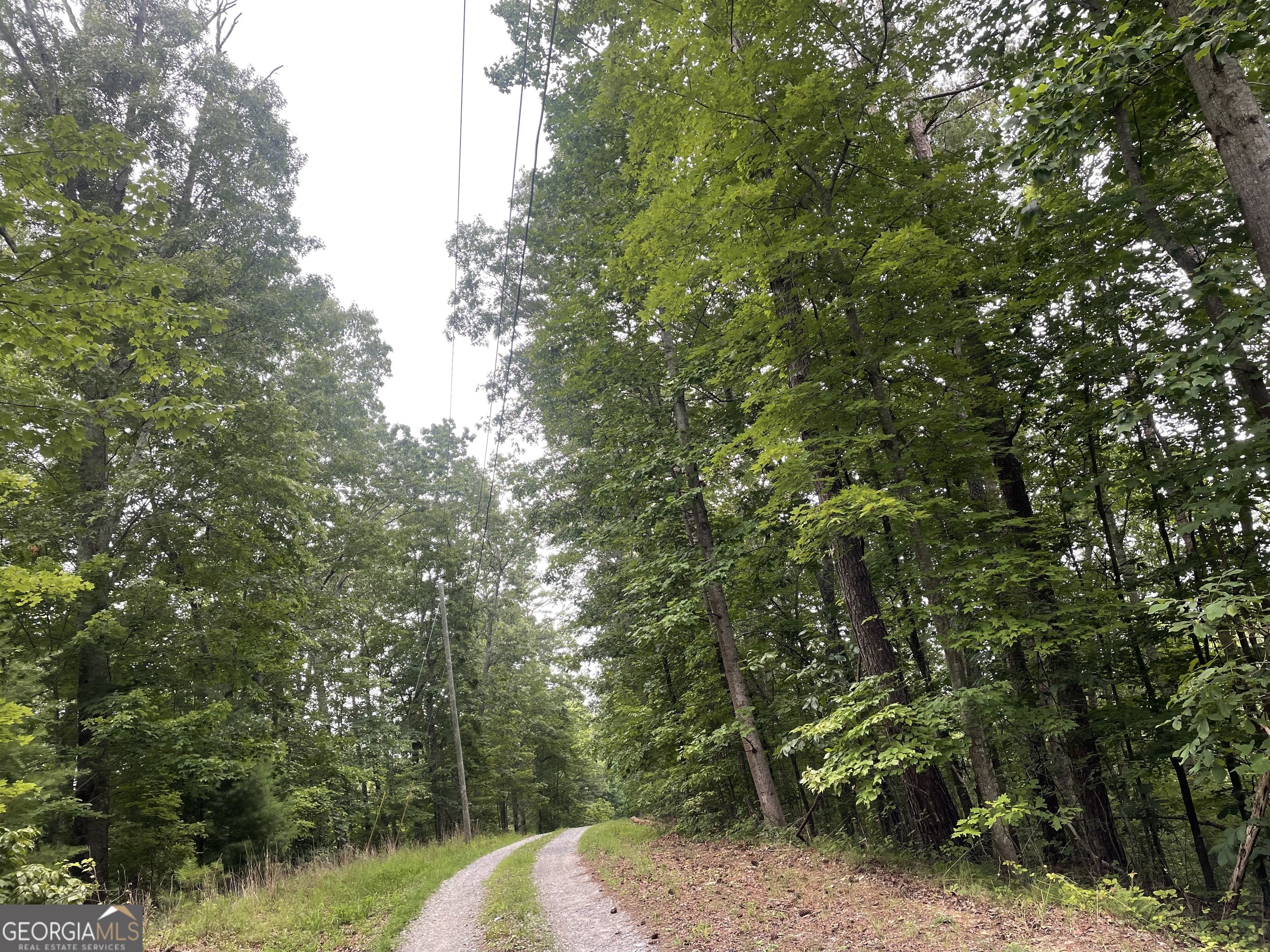871 Bolster Lane Northeast Ranger, GA 30734 - Photo 1 of 12 a view of a forest with trees in the background