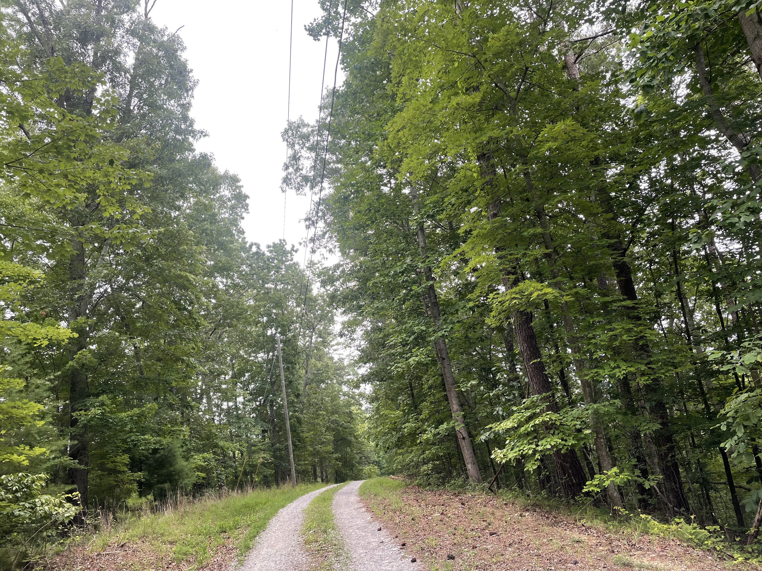 871 Bolster Lane Northeast Ranger, GA 30734 - Photo 2 of 12 a view of a street with a tree