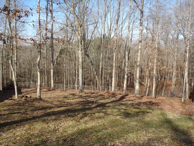 3469 Hunters Ridge Woodlawn, TN 37191 - Photo 13 of 16 Nice Large Back Yard