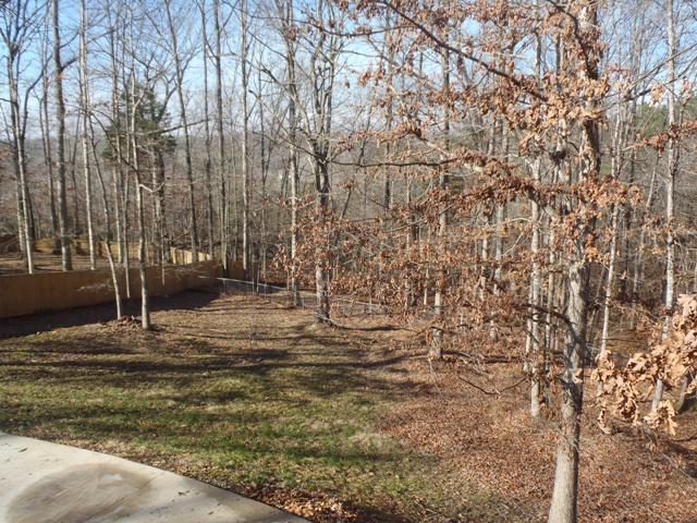 3469 Hunters Ridge Woodlawn, TN 37191 - Photo 14 of 16 Second View of Beautiful Back Yard
