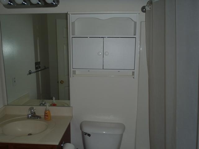 3469 Hunters Ridge Woodlawn, TN 37191 - Photo 9 of 16 Nice Bathroom