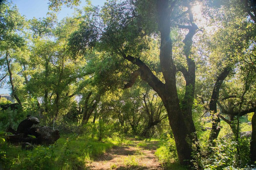 0 Littlepage Road Ramona, CA 92065 - Photo 12 of 28 a view of tree