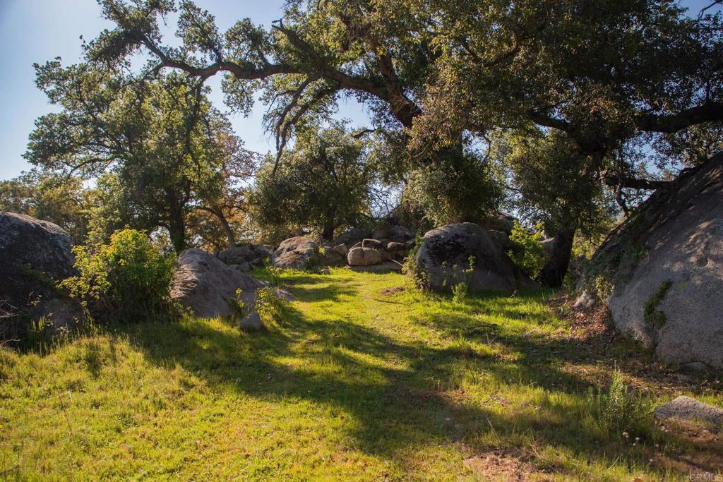 0 Littlepage Road Ramona, CA 92065 - Photo 13 of 28 a backyard of a house with a yard and large tree