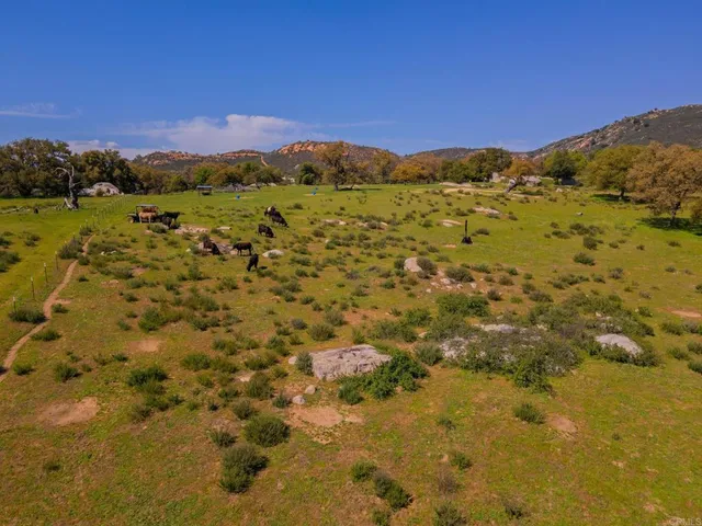 a view of a large yard with lots of green space