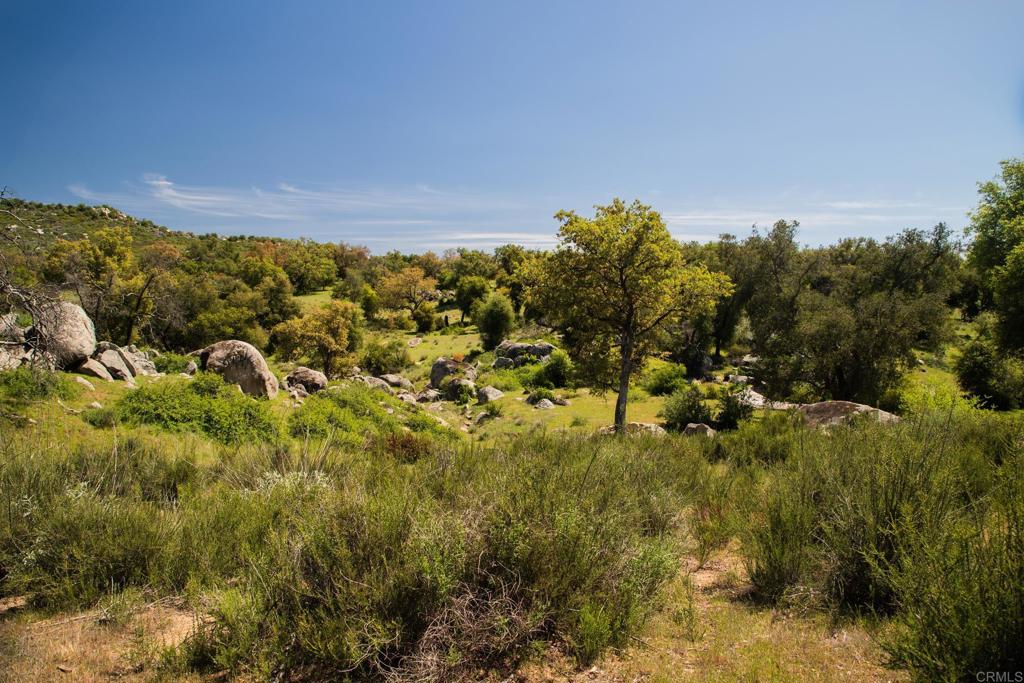 0 Littlepage Road Ramona, CA 92065 - Photo 8 of 28 a view of a field