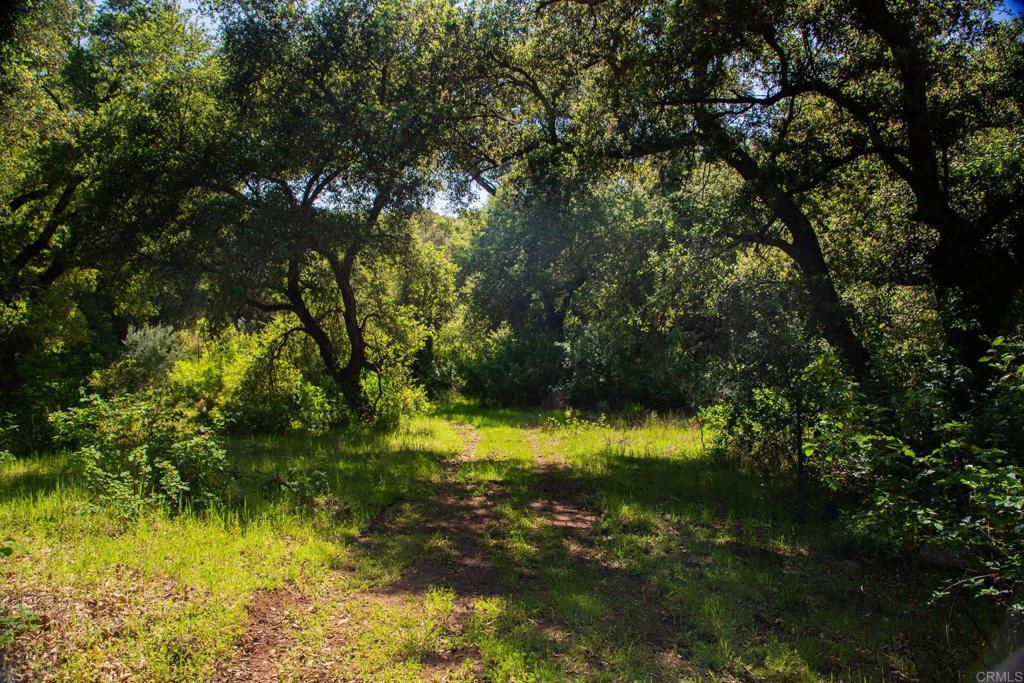 0 Littlepage Road Ramona, CA 92065 - Photo 10 of 28 a view of swimming pool of a yard