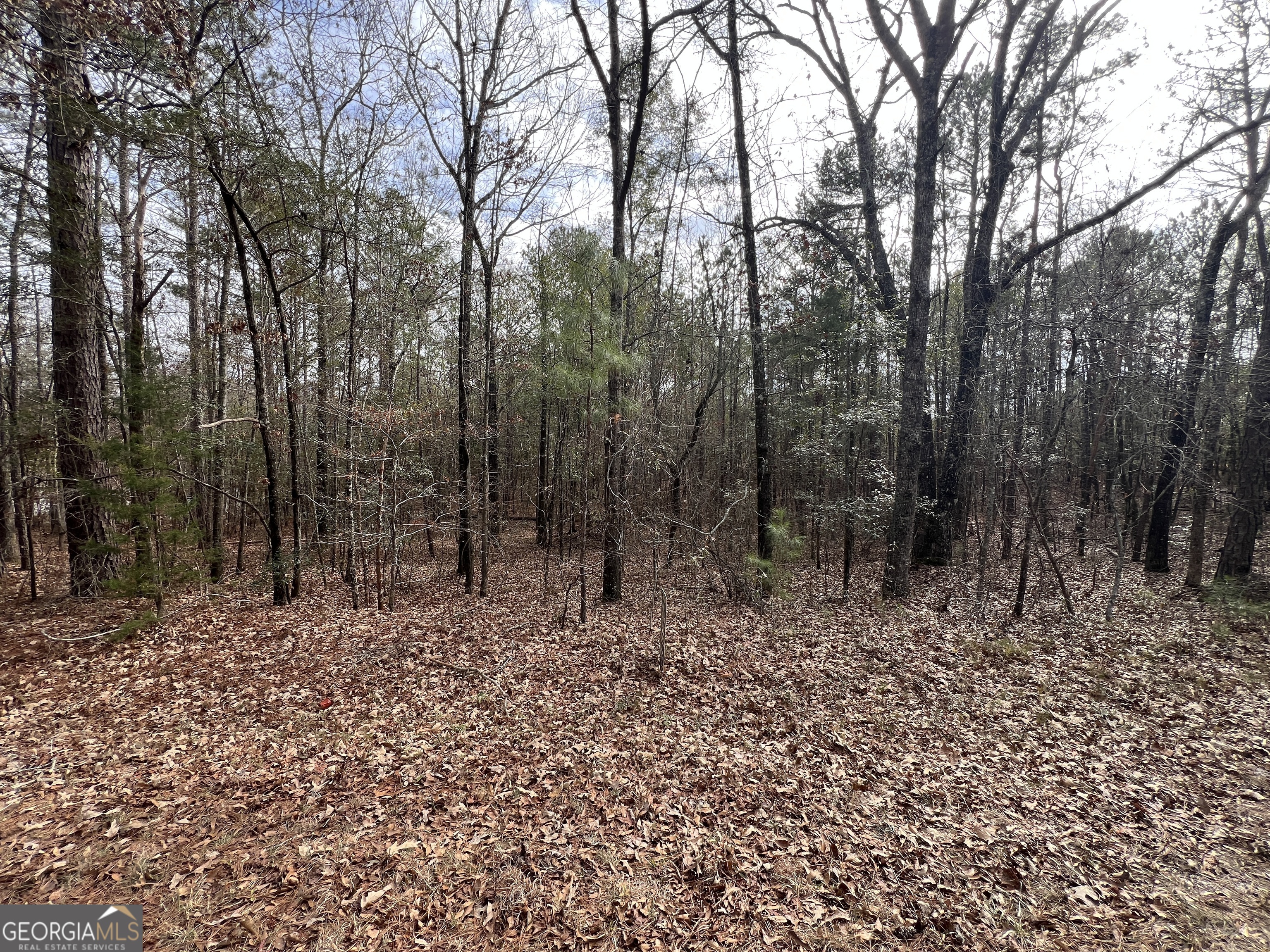 0 Floyd Road Pine Mountain, GA 31822 - Photo 1 of 1 Gallery Image 1