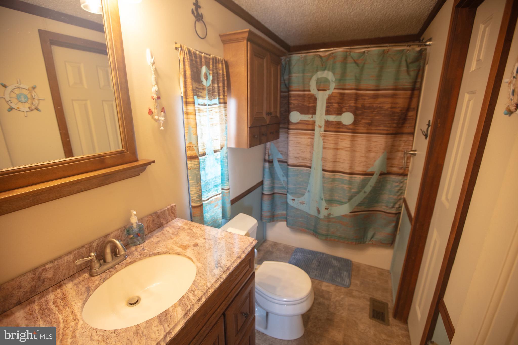 2555 Fords Corner Road Hartly, DE 19953 - Photo 29 of 43 a bathroom with a sink toilet and shower